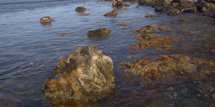    пресс-служба заповедника "Утриш"