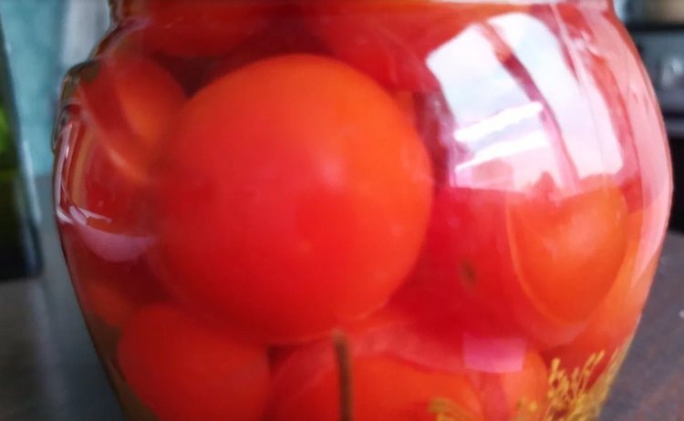    Фото: Лукьянов Дмитрий, AgroXXI.ru