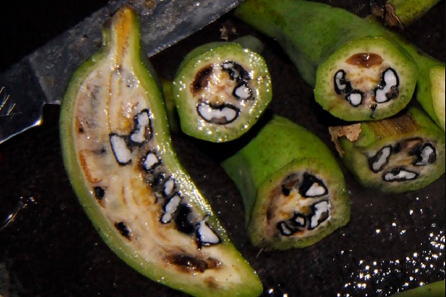 Банан Бальбиса (Musa balbisiana). Фотография из интернета