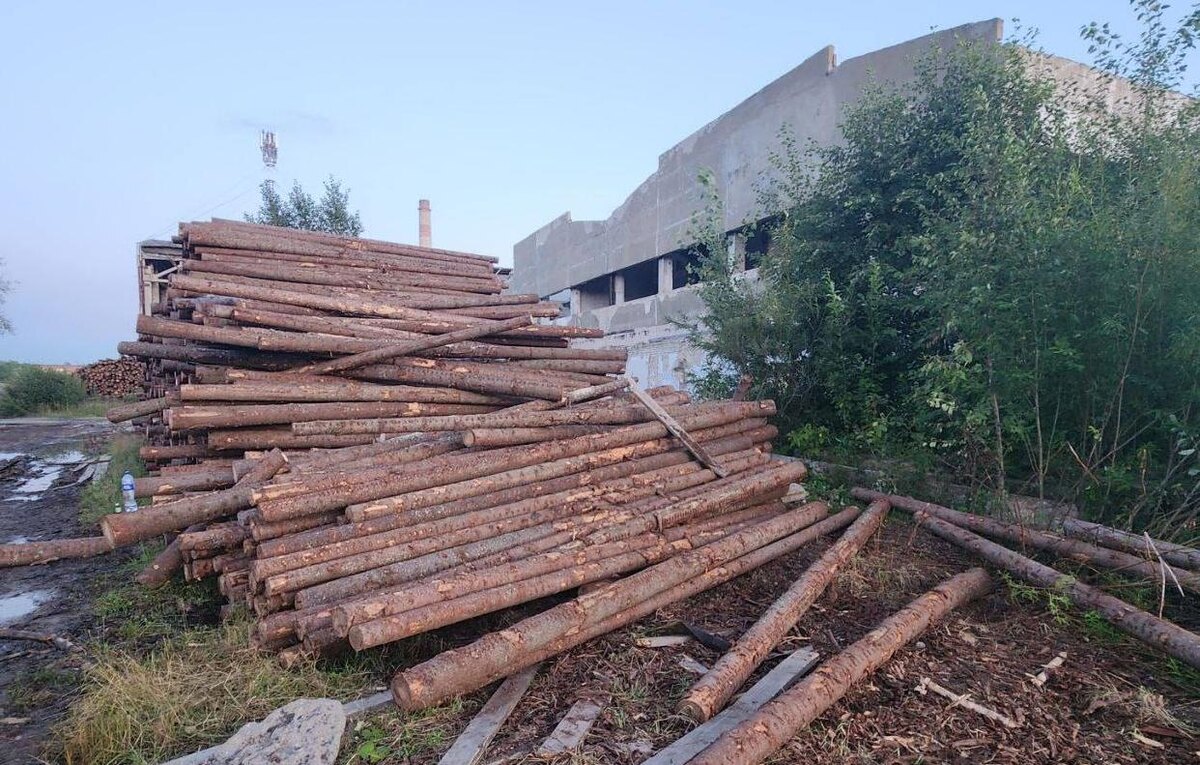    © Следственное управление Следственного комитета РФ по Пермскому краю