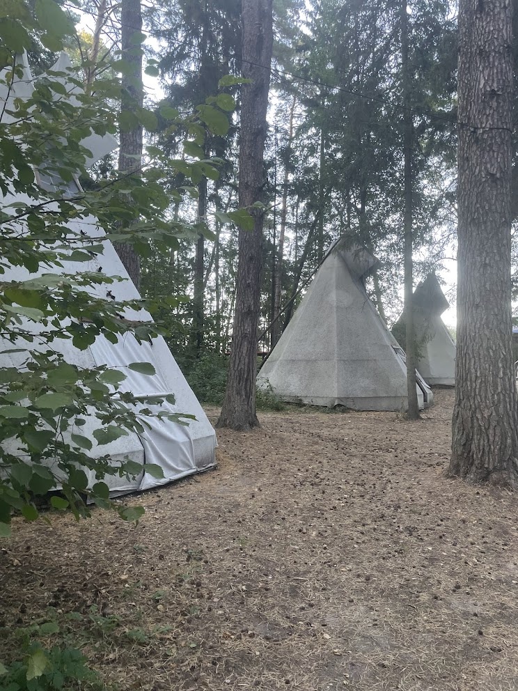 Шатры с дровами