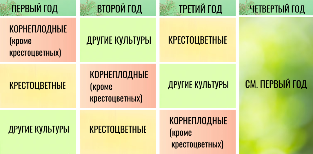 Простая и понятная схема севооборота в огороде – урожаи повысятся, а количество вредителей сойдет на нет
