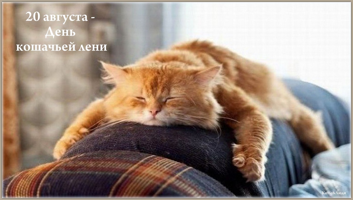 Коллаж автора. Использовано фото: kakprosto.ru