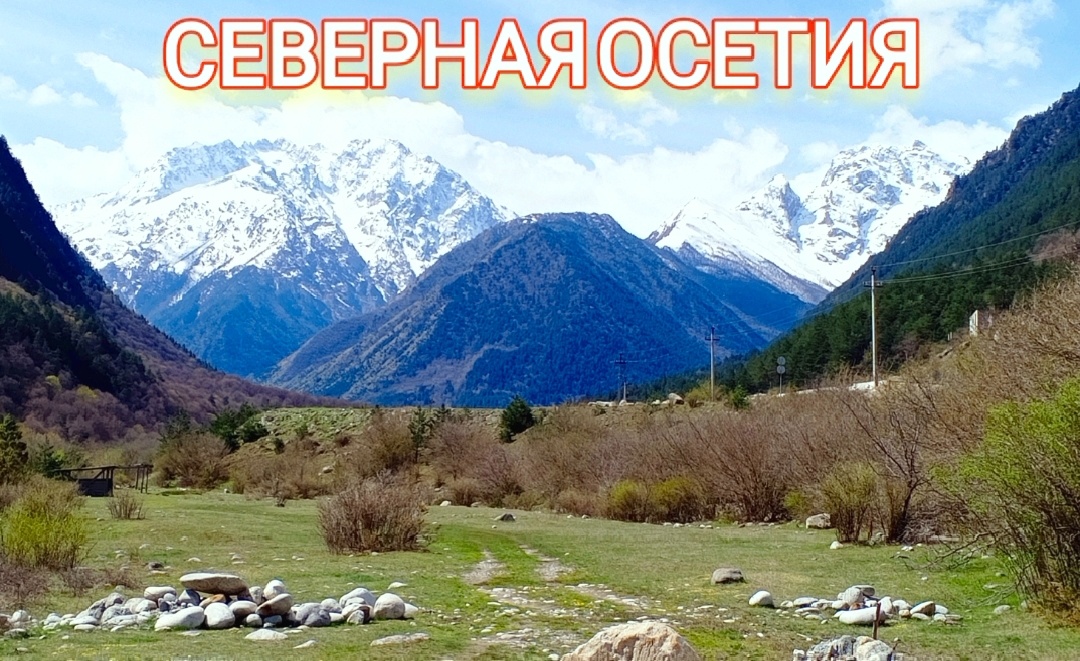 Фото авторов