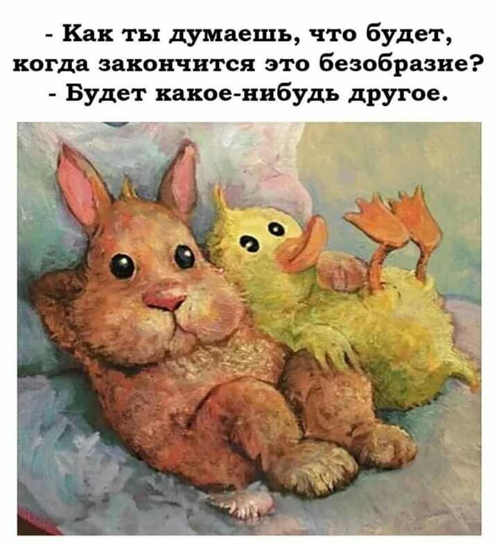 Фото из открытых источников интернета 