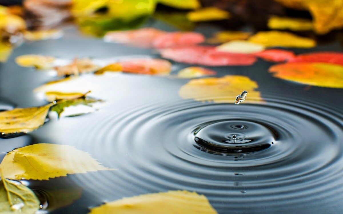 Ваше личное — это просто капля. А вот круги — уже семейное достояние.