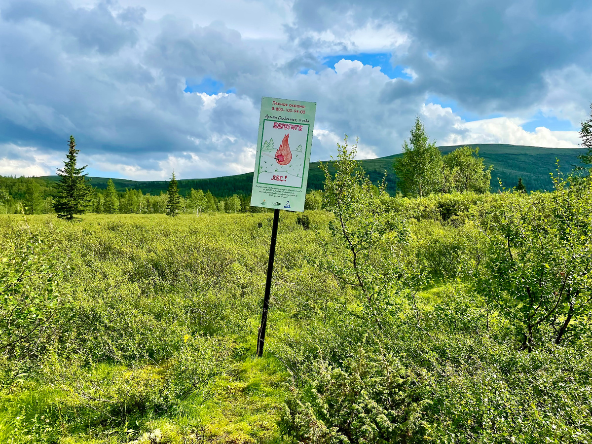 Начало маршрута — знак на тропе.