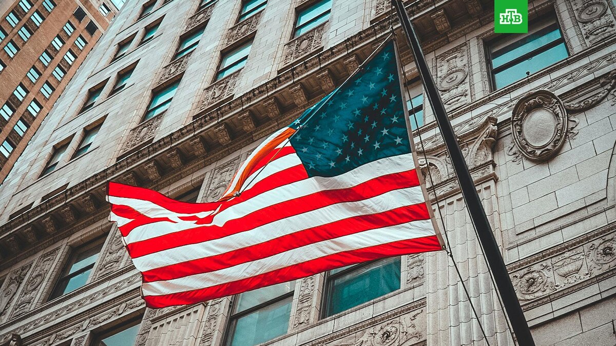    Фото: R.D. Smith / unsplash.com