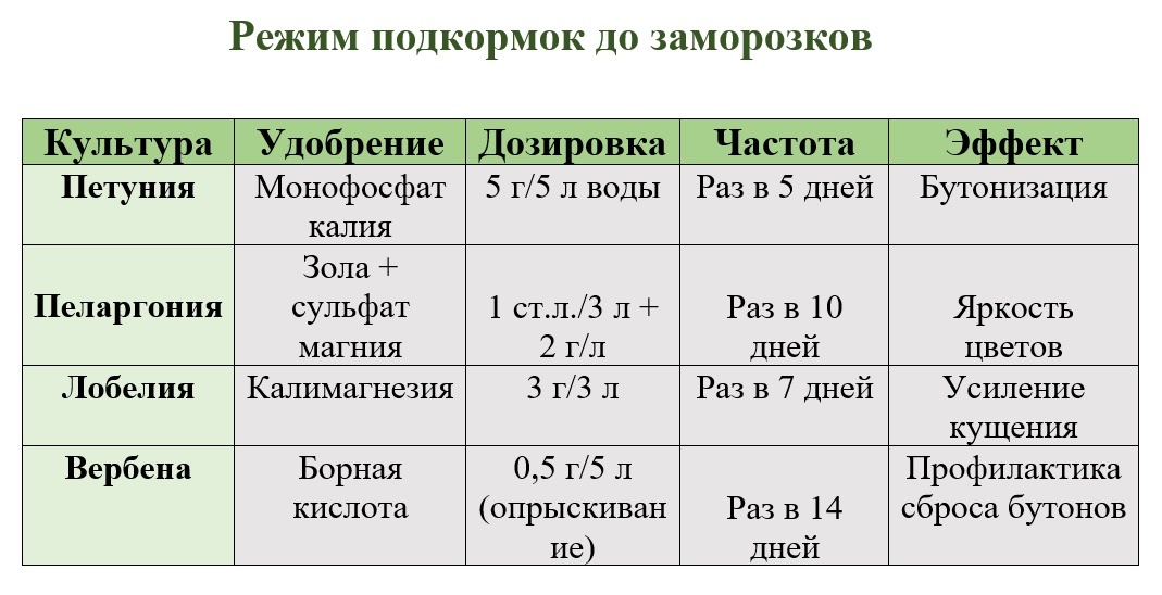 Не удобряем азотом и органикой. Азотные удобрения - вызовут рост листьев. Органика привлекает вредителей.