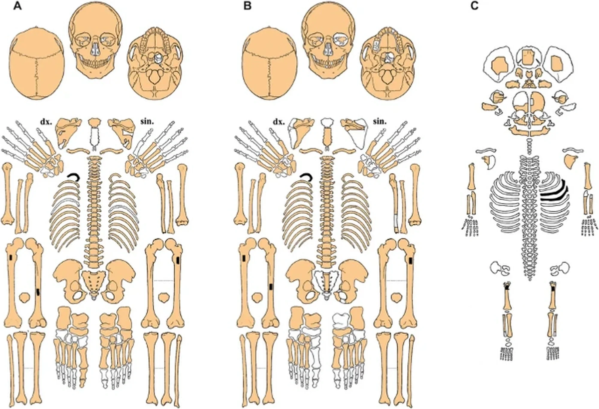 https://link.springer.com/