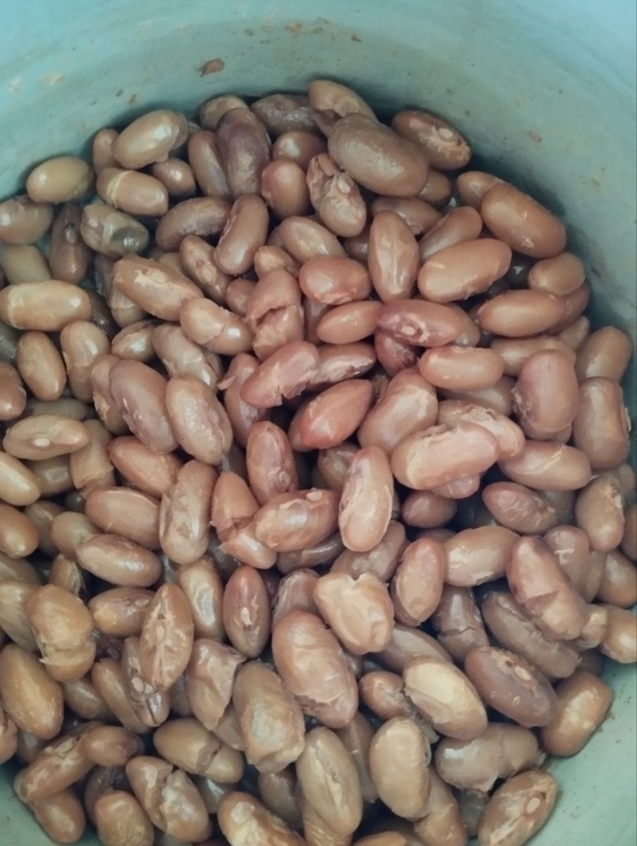 Отварная фасоль. Белая фасоль вареная.