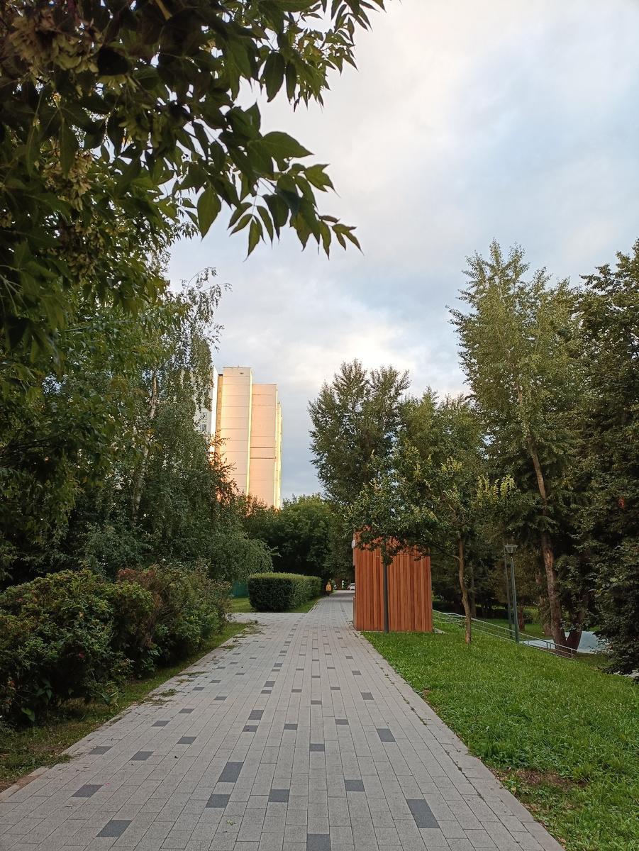 Вечер. Кажется, воскресный