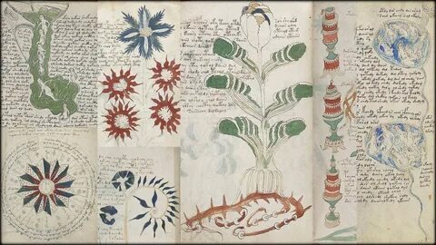 Манускрипт Воинича