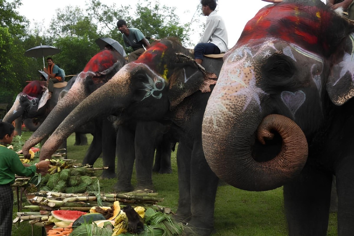 Фото: новостное агентство Asia News Network