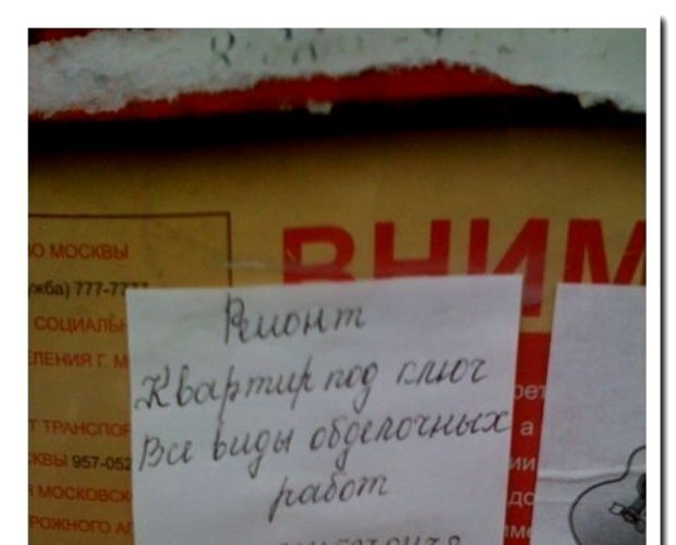 Фото взято из открытых источников интернета