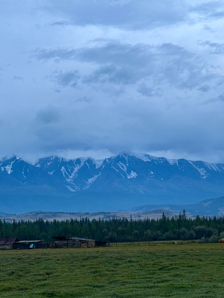 Алтай. Курай. Ходим-едем