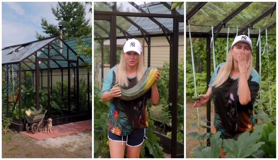 Анна Семенович