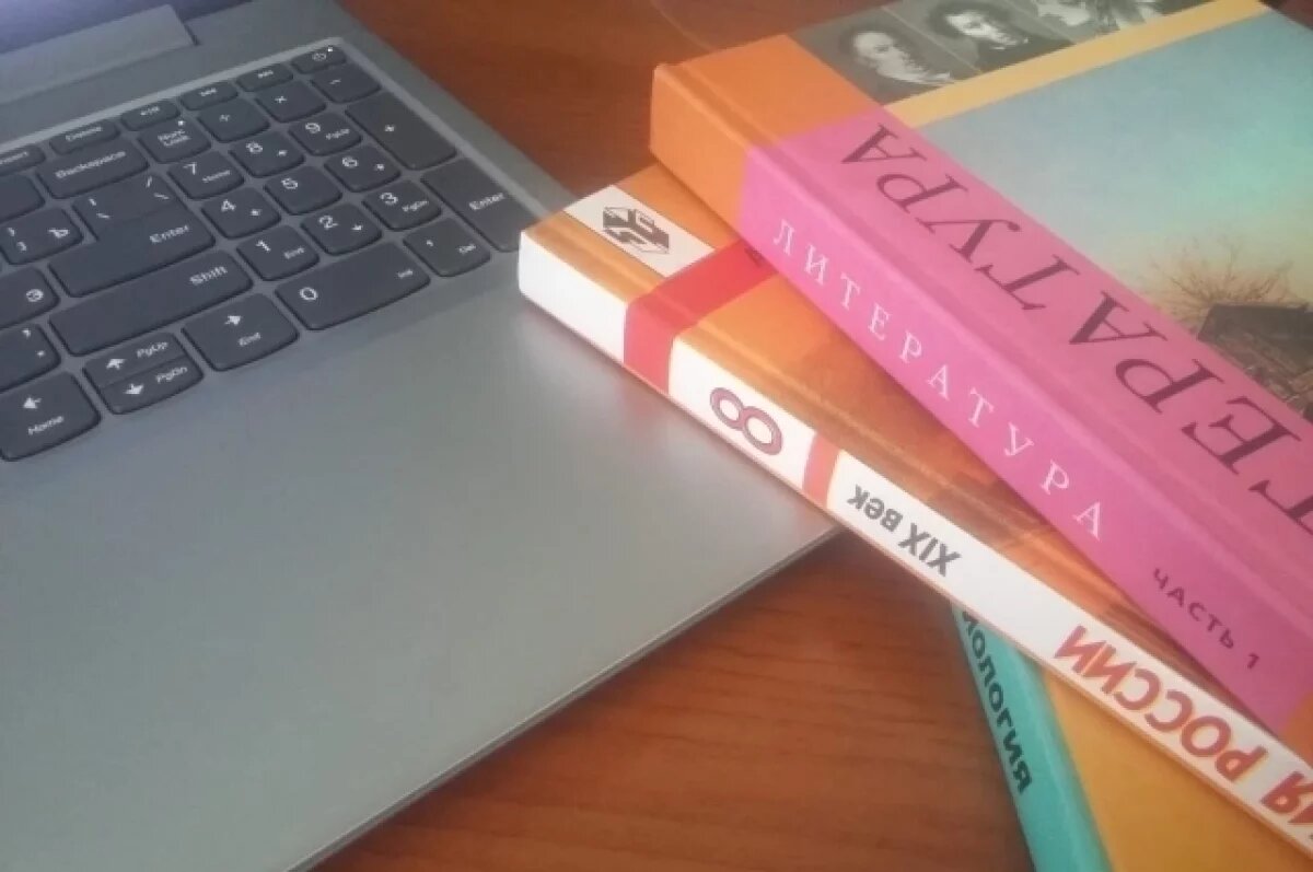    40 миллионов рублей требуют с бывшего концессионера новосибирских школ