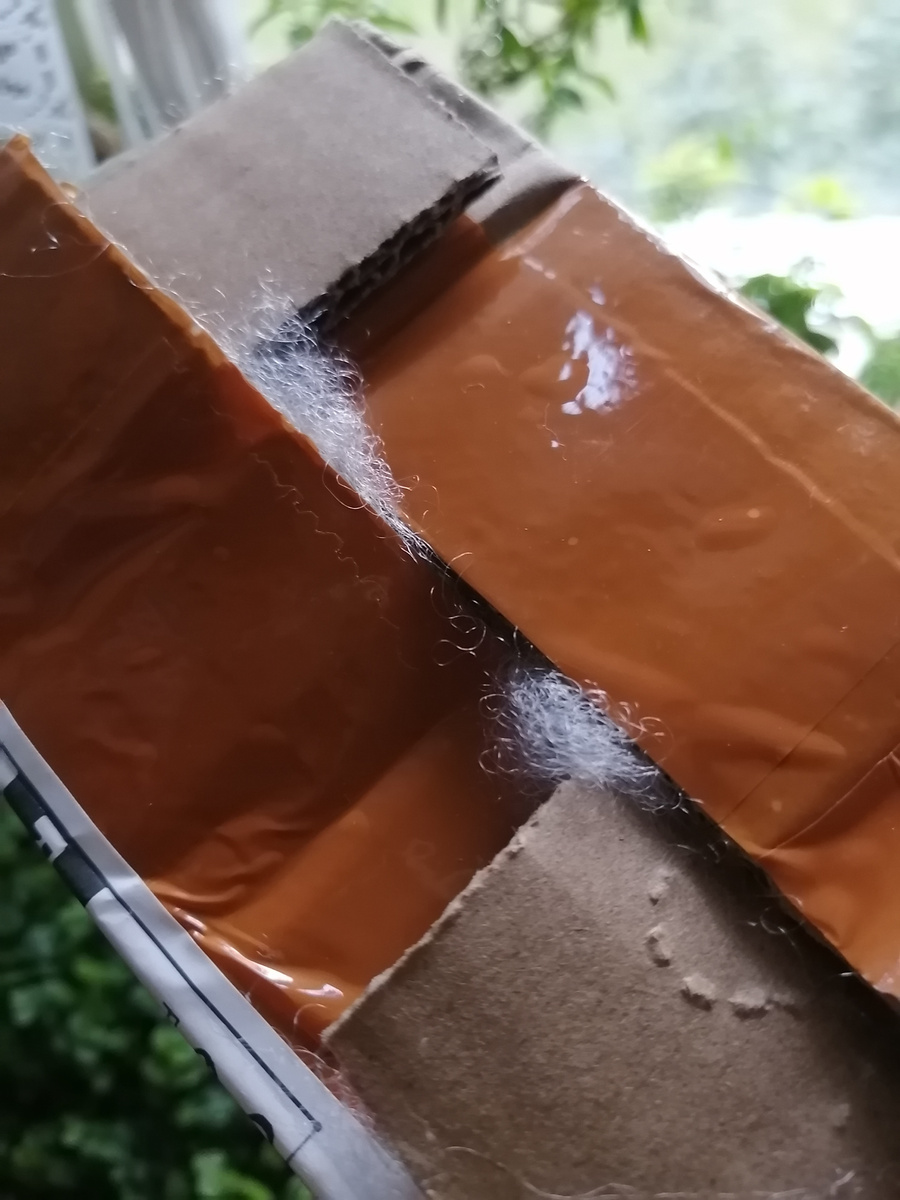 Белое и пушистое внутри, но лезет наружу