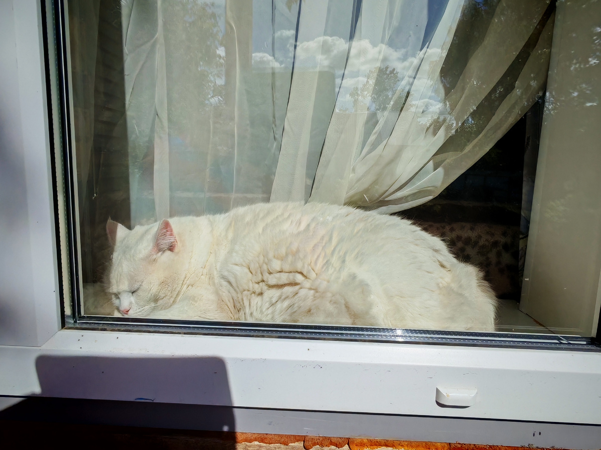 На привычном месте