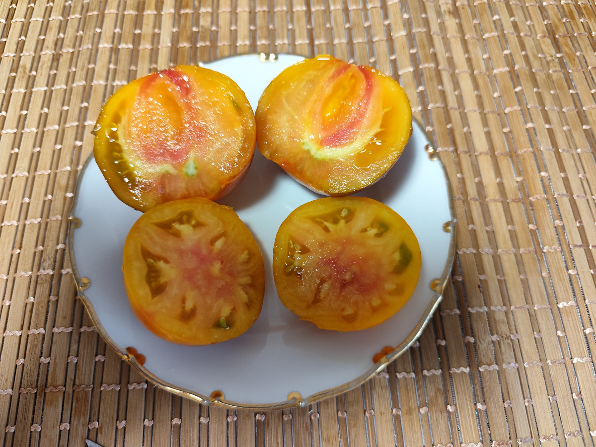 Томат Люсид Джем