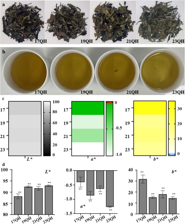 pmc.ncbi.nlm.nih.gov