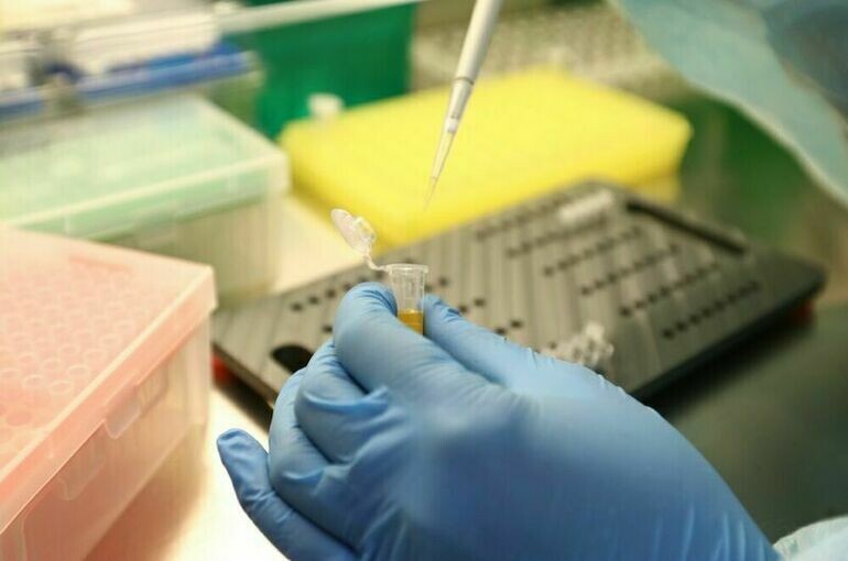   Кирилл Зыков/Агентство «Москва»