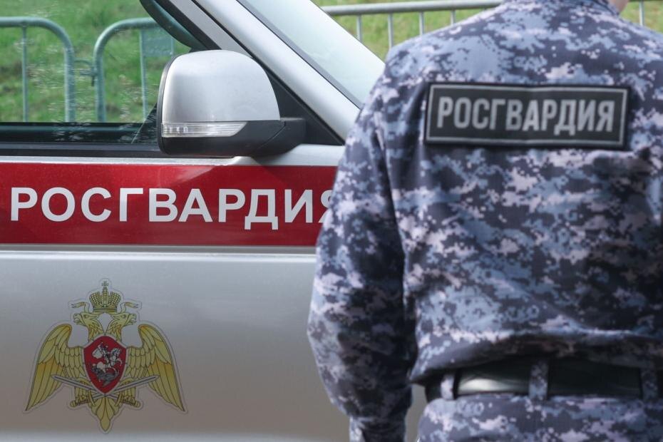    Сергей Петров/NEWS.ru