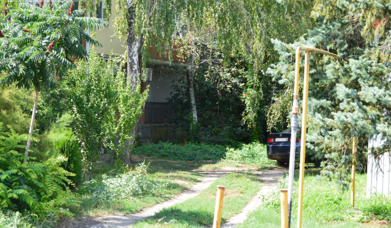 Фото автора. Август 2025. Станица.