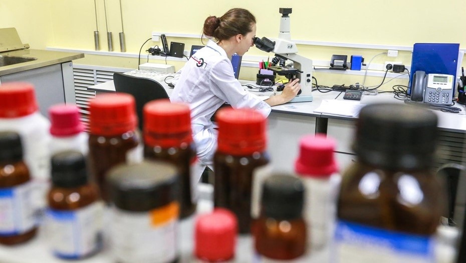    Автор фото: Сергей Коньков