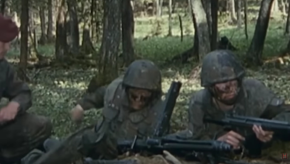 История популярного немецкого семейства камуфляжа Flecktarn: от классики до Multitarn