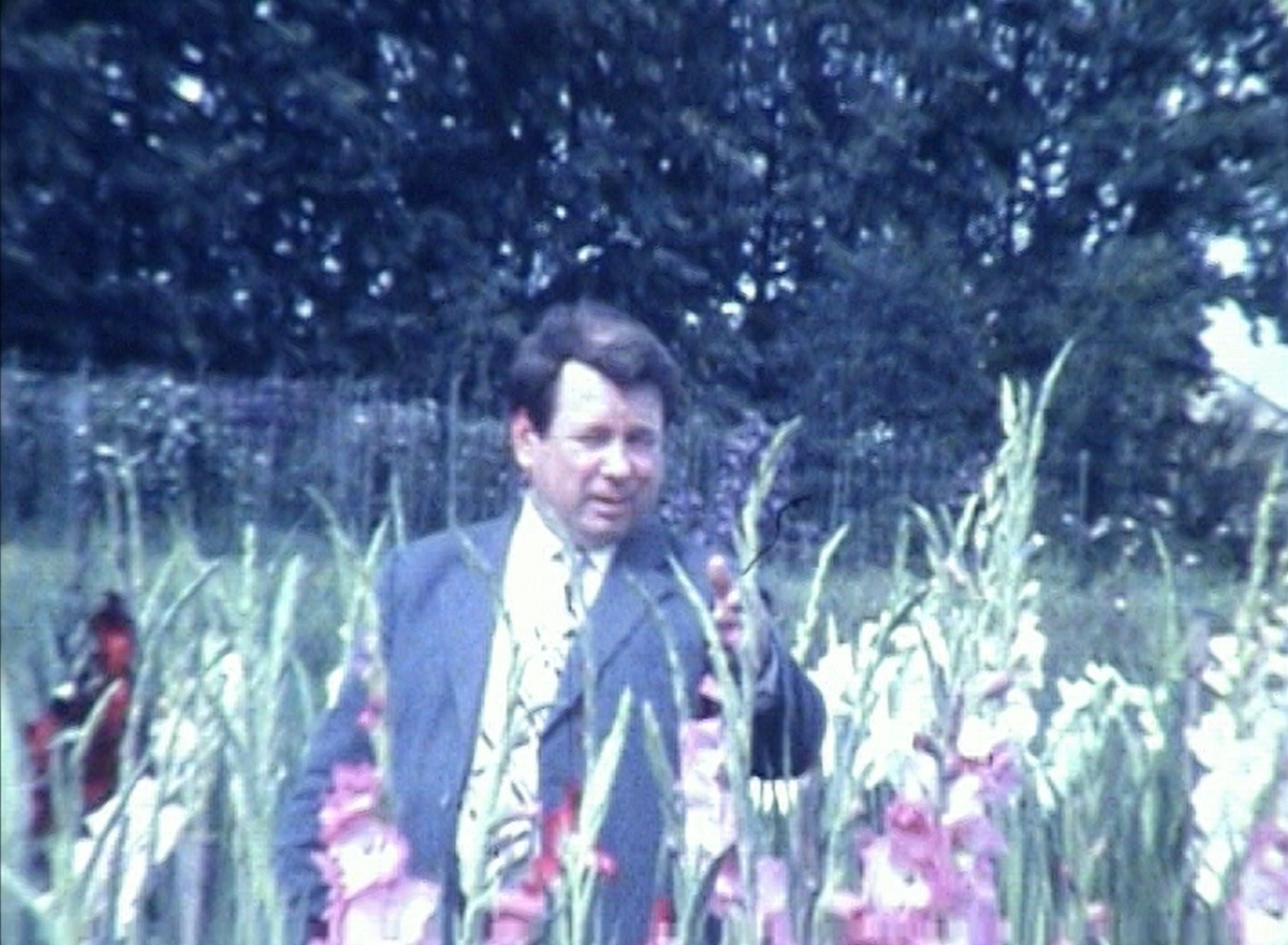 Кадр из кинофильма "Гладиолусы Александра Евдокимова"