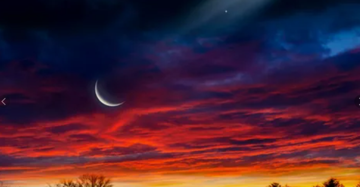 картинки Яндекс