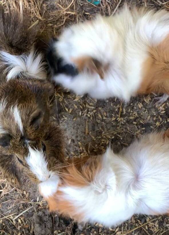 готовимся к завтраку