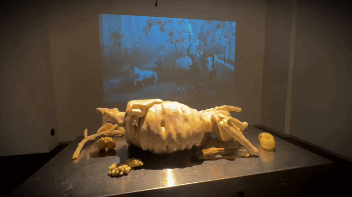 Варвара Силантьева, «Язык цветов», инсталляция 