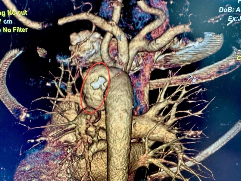    Фото: Министерство здравоохранения Ульяновской области