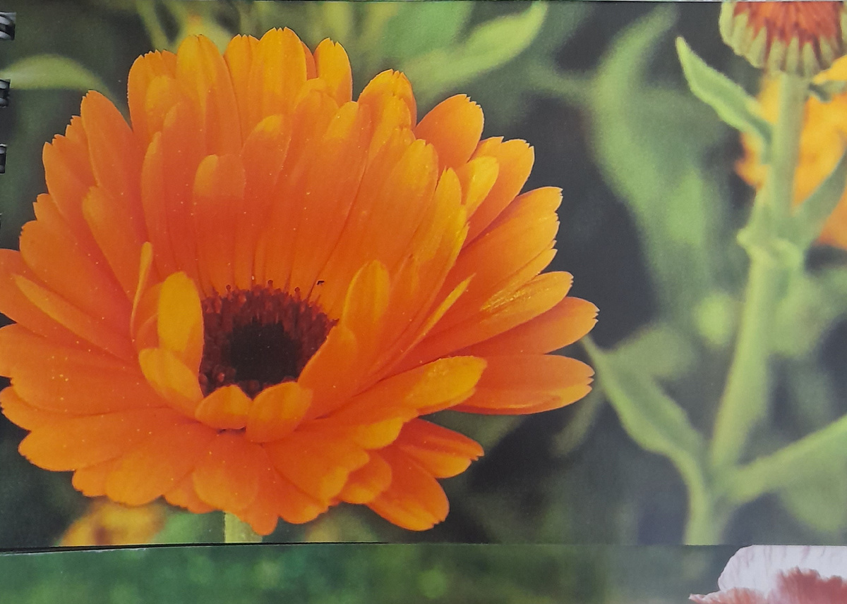 Фото автора канала