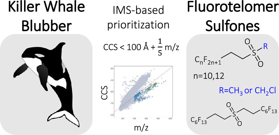 Скриншот с сайта: https://pubs.acs.org/doi/10.1021/acs.estlett.5c00516 
