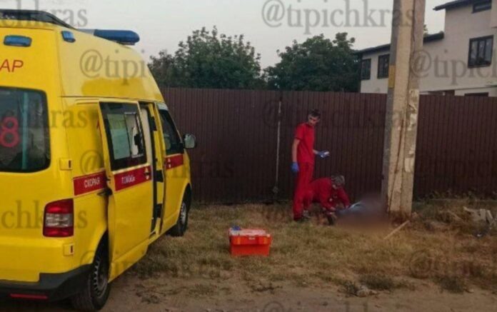    Фото: t.me/tipichkras