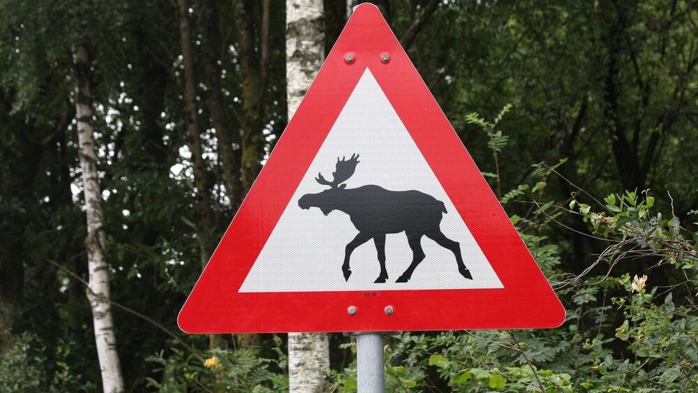    Фото: Jody./Shutterstock/Fotodom