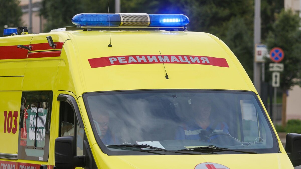    Фото: Shatokhina Natalia/news.ru