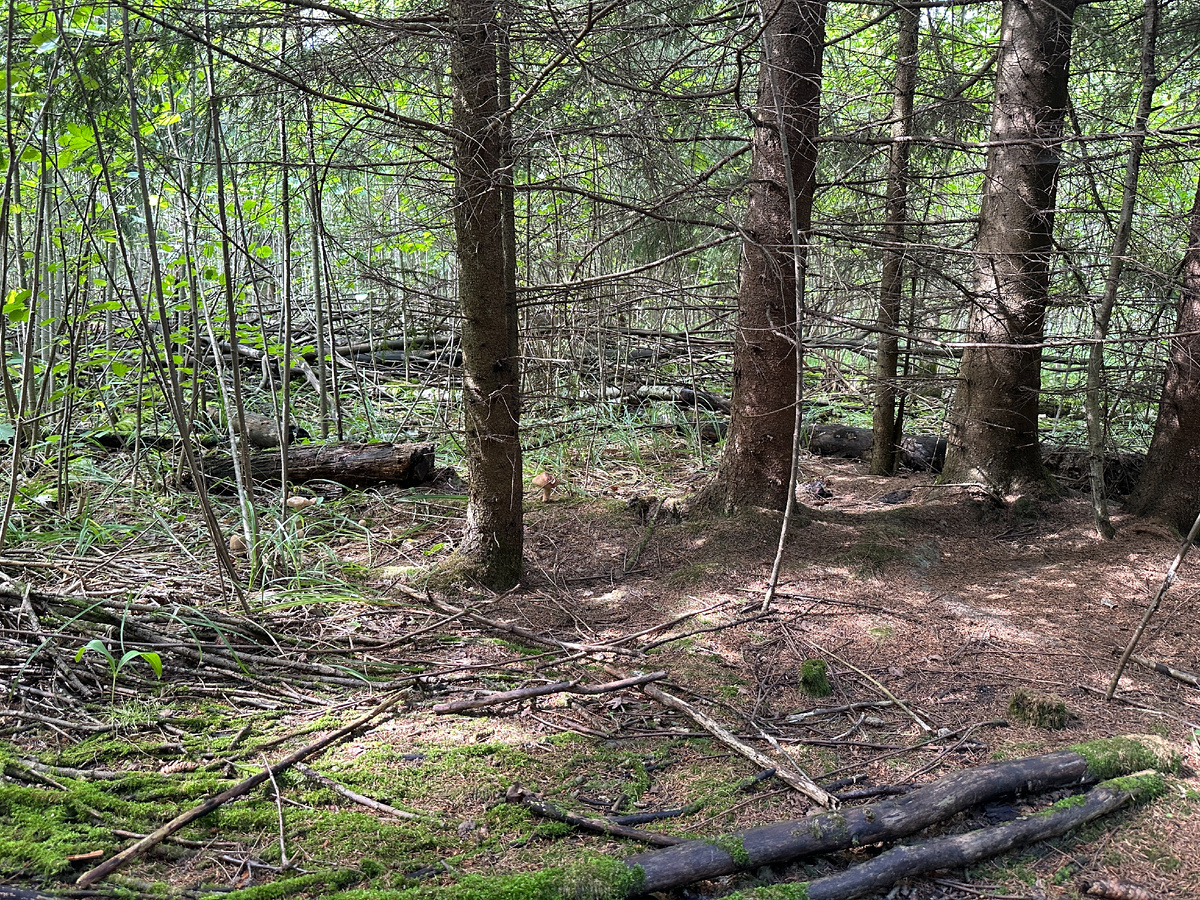 Вот оно, это дивное место, куда не всякий доберется.