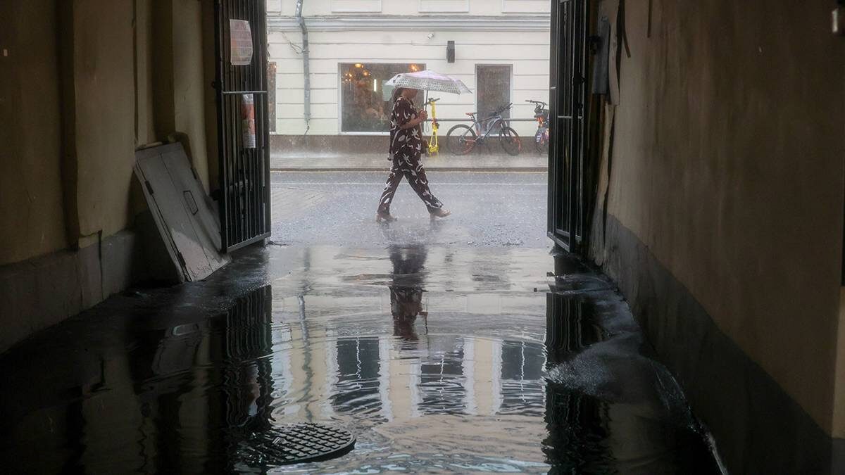    Фото: Ярослав Чингаев / АГН Москва