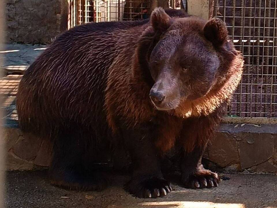    Фото: пресс-служба администрации г.о. Мытищи