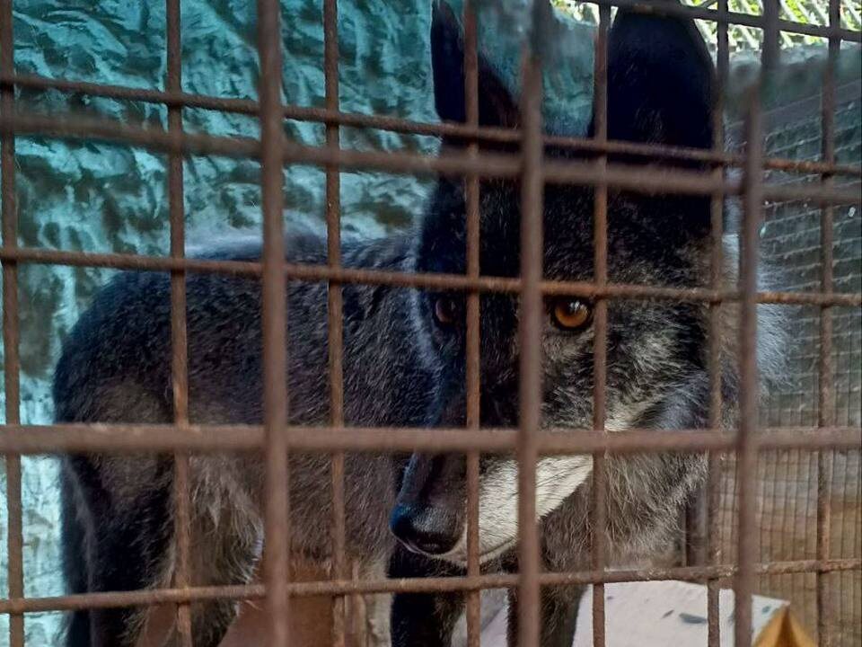     Фото: пресс-служба администрации г.о. Мытищи