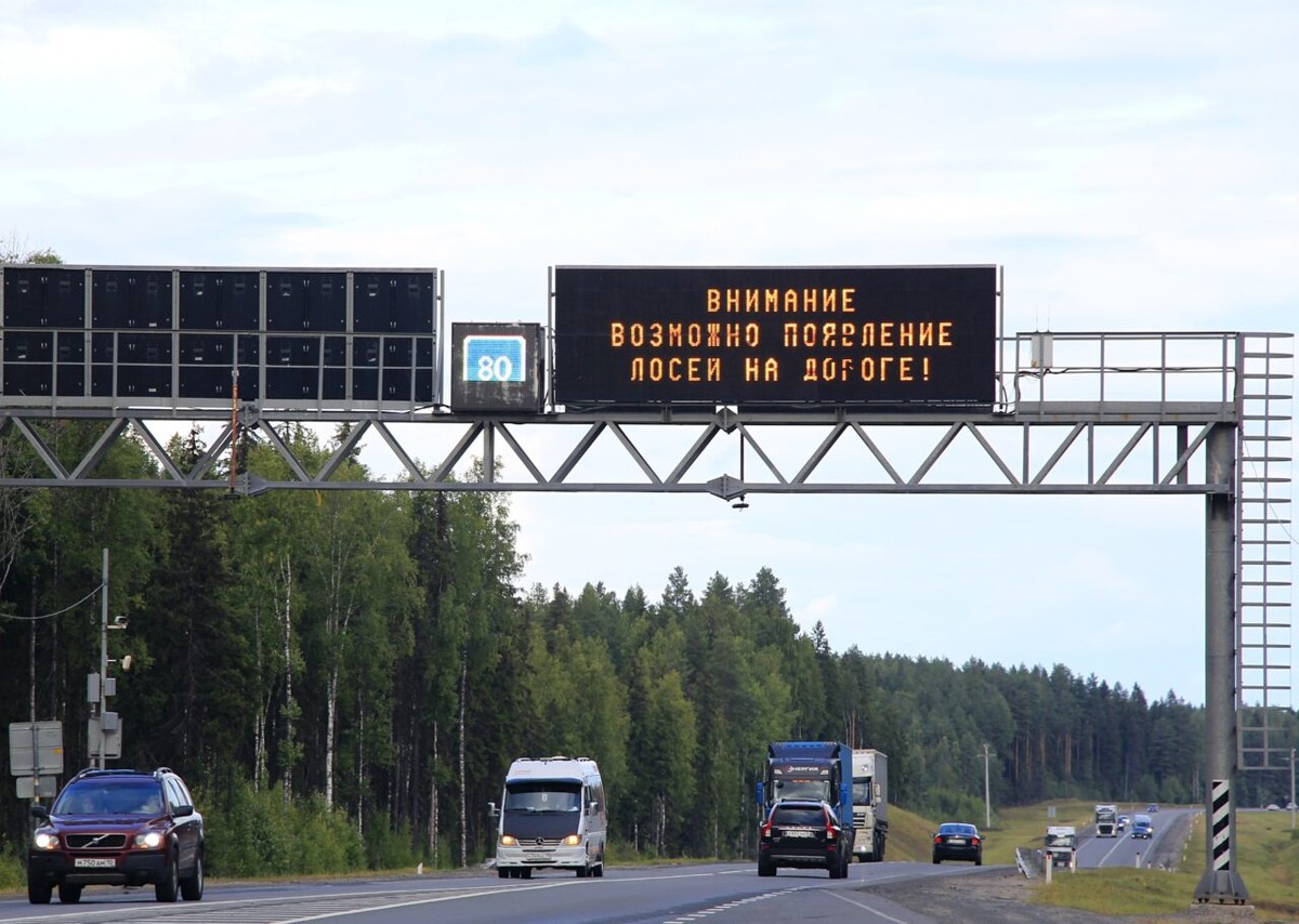    Фото: ГАИ Карелии