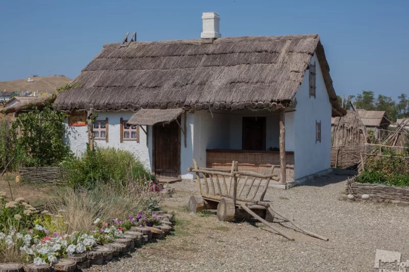 картинка из интернета