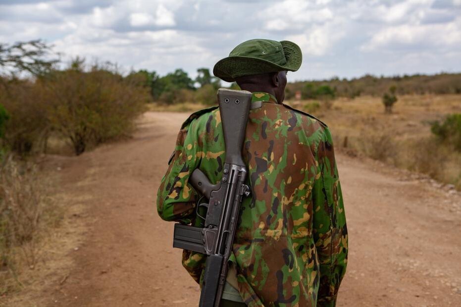    Shutterstock/FOTODOM