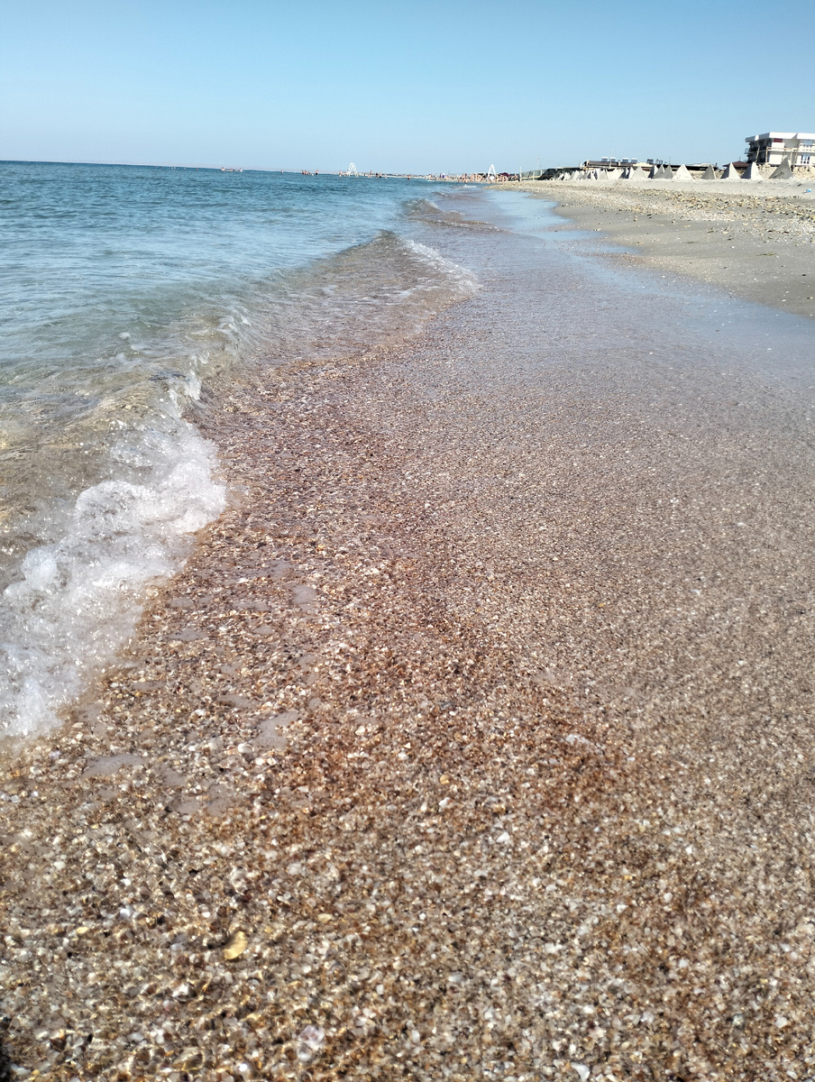 Мелкая ракушка и открытое море 