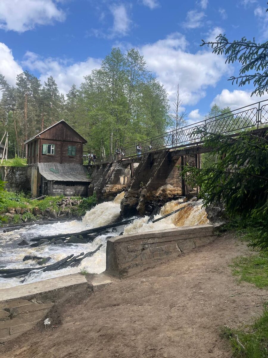 Вело-пешеходный экологический маршрут Озеро Берестовое/Сосновская ГЭС